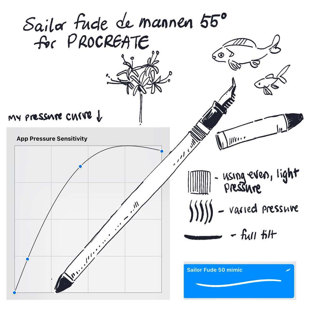 sailor fude de mannen 55 for procreate showing the pressure curve i use and the brush preview