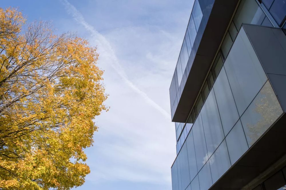 An outdoor shot of a glass UTM building adjacent a tree in autumn.