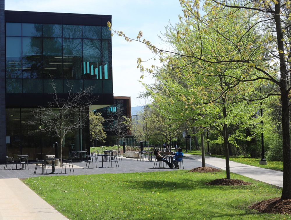 UTM campus during the summer