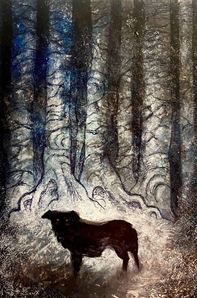 a black dog against a background of dark trees