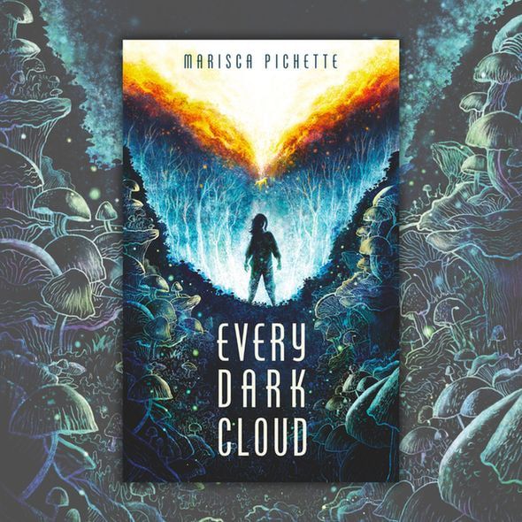 every dark cloud book cover
a figure in front of a dark forest with a burning sky