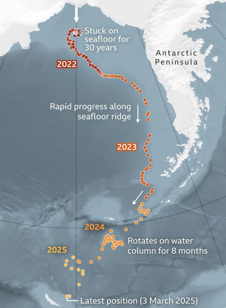 Detail from a map of the A23a iceberg's progress since being calved in 1986; after 30 years stuck on the seafloor it made rapid progress in 2022-2023 but rotated on a water column for 8 months and has now run aground off South Georgia. Source: https://www.bbc.com/news/articles/c20d1xp6046o