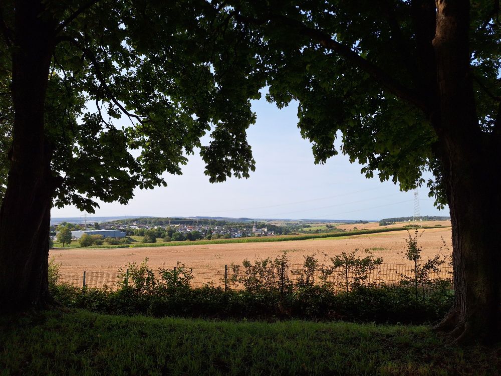 A view looking out between two trees towards a village in the distance across the fields