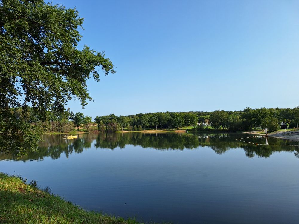 A view across a lake surrounded by trees. The early morning sky is clear blue with no clouds