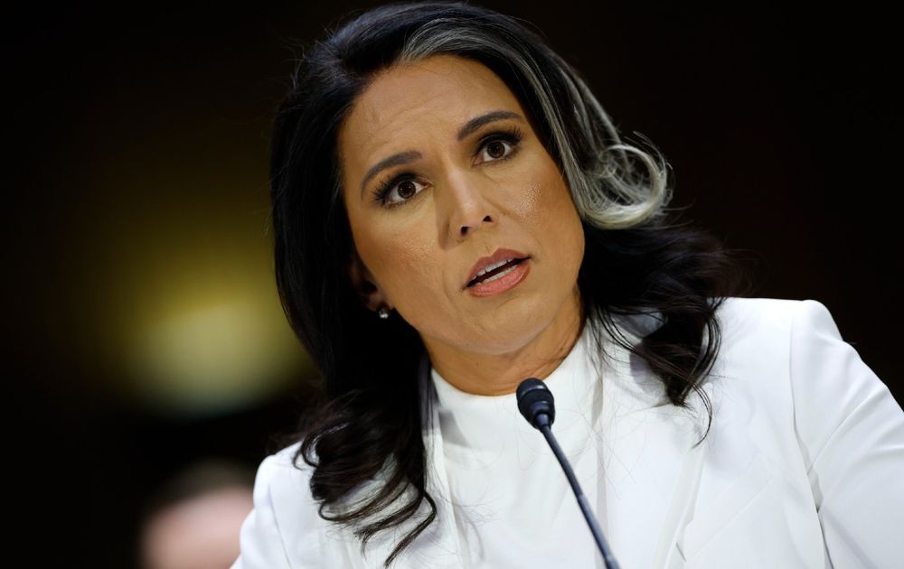 Photo of Tulsi Gabbard looking surprised