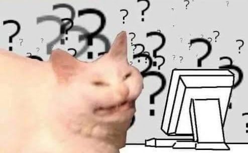 A white cat with a very confused sort of grimace sits to the left of a computer monitor that was clearly drawn in MS paint. They are both surrounded by question marks