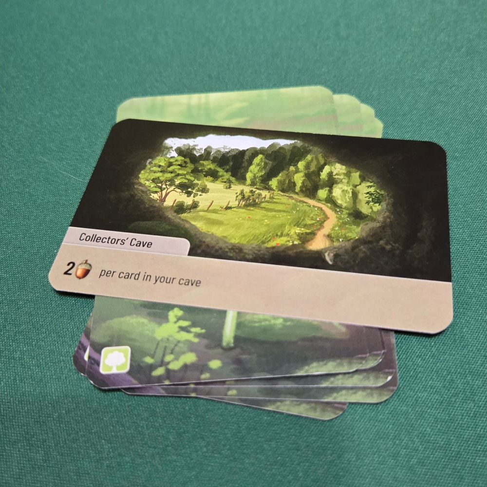 Collector's Cave card: 2 pts per card in cave. I had 6 cards in my cave. Each cave card in the Exploration expansion has unique art and scoring conditions. Players select a cave at the beginning of the game.