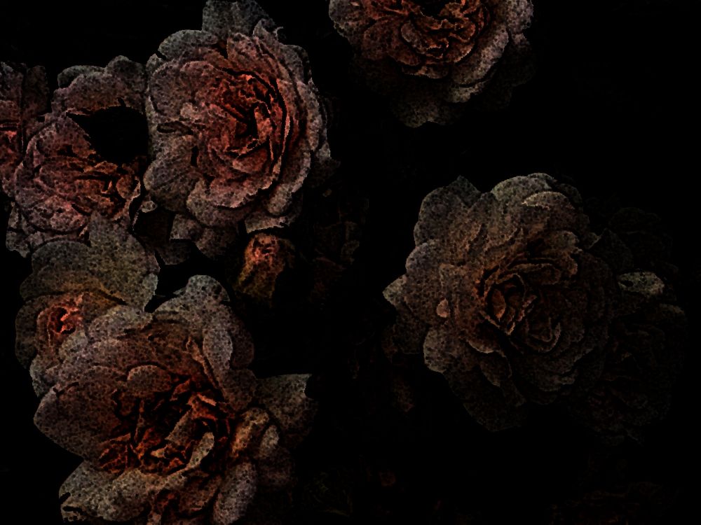 The same flowers but with a darker effects, giving a look of a painting