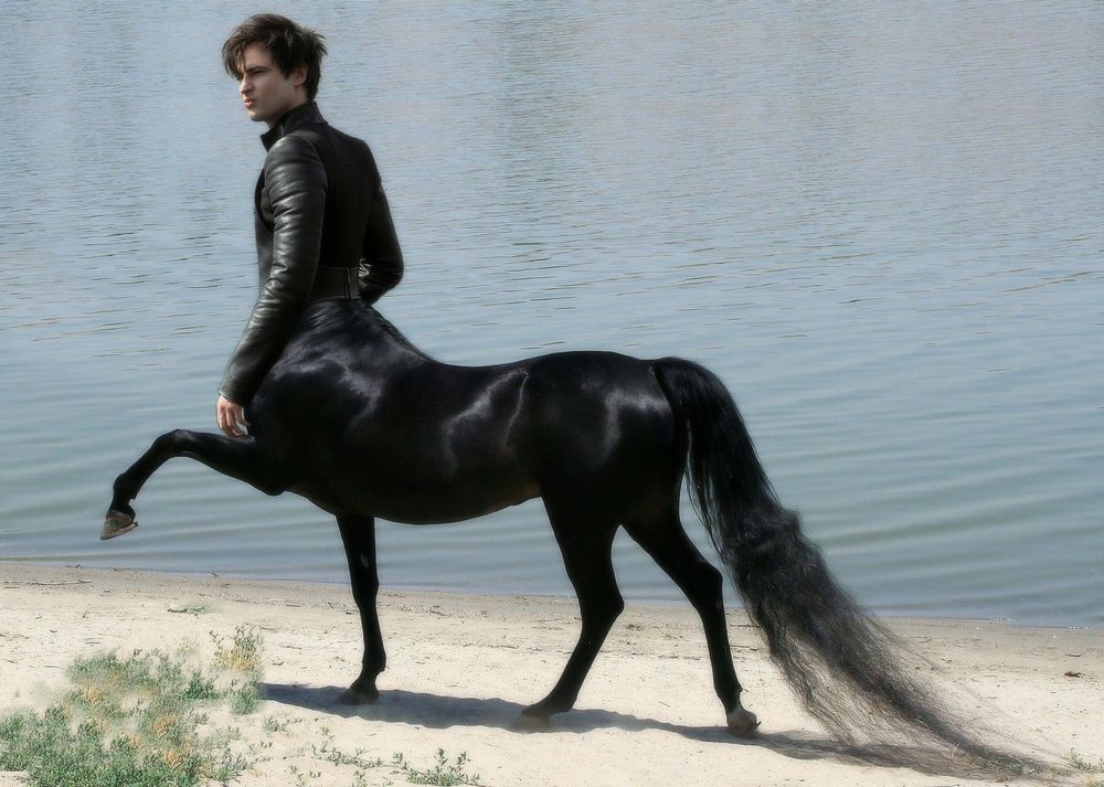 Photomanipulation: Black arabian horse and Tom Sturridge as Dream of the Endless. Front left leg up. Walking on sand near water.