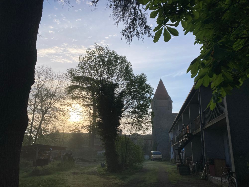 Lever de soleil par temps de brume sur un endroit appeler le Château. On voit la tour du château au fond, des arbres assez grands sur sa gauche et au premier plan et sur la droite un bâtiment type année 50 tout en longueur 