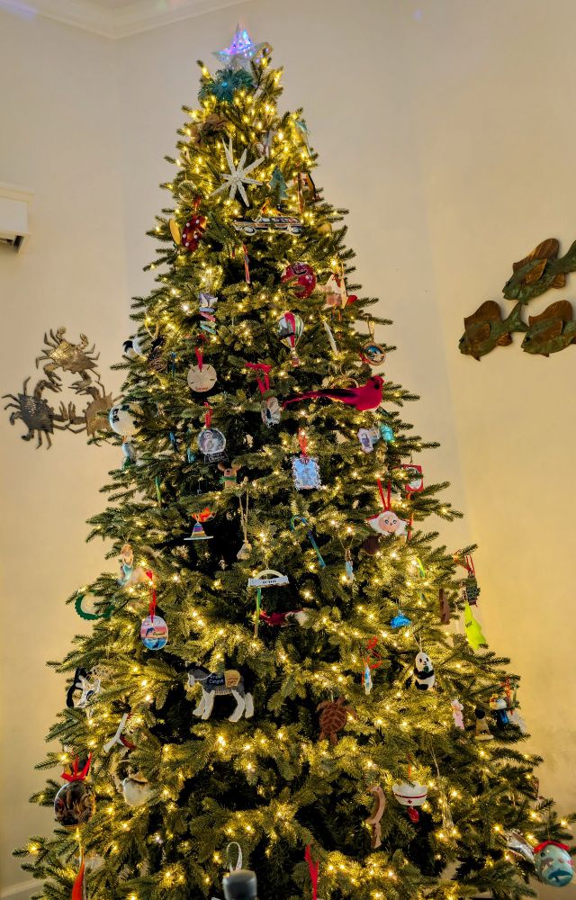 Comment image