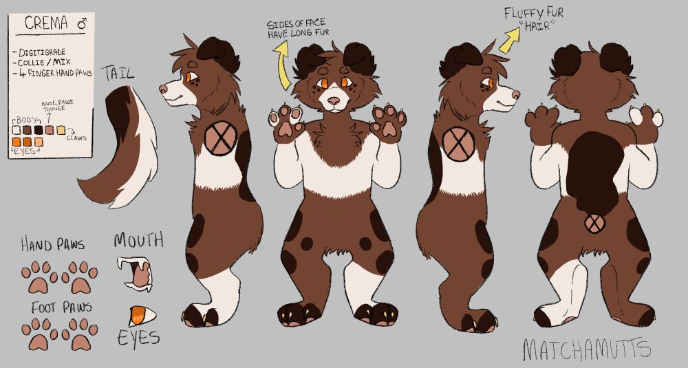 a reference sheet depicting different angles of a fursuit design, with the details of the character "Crema" on the left hand side 