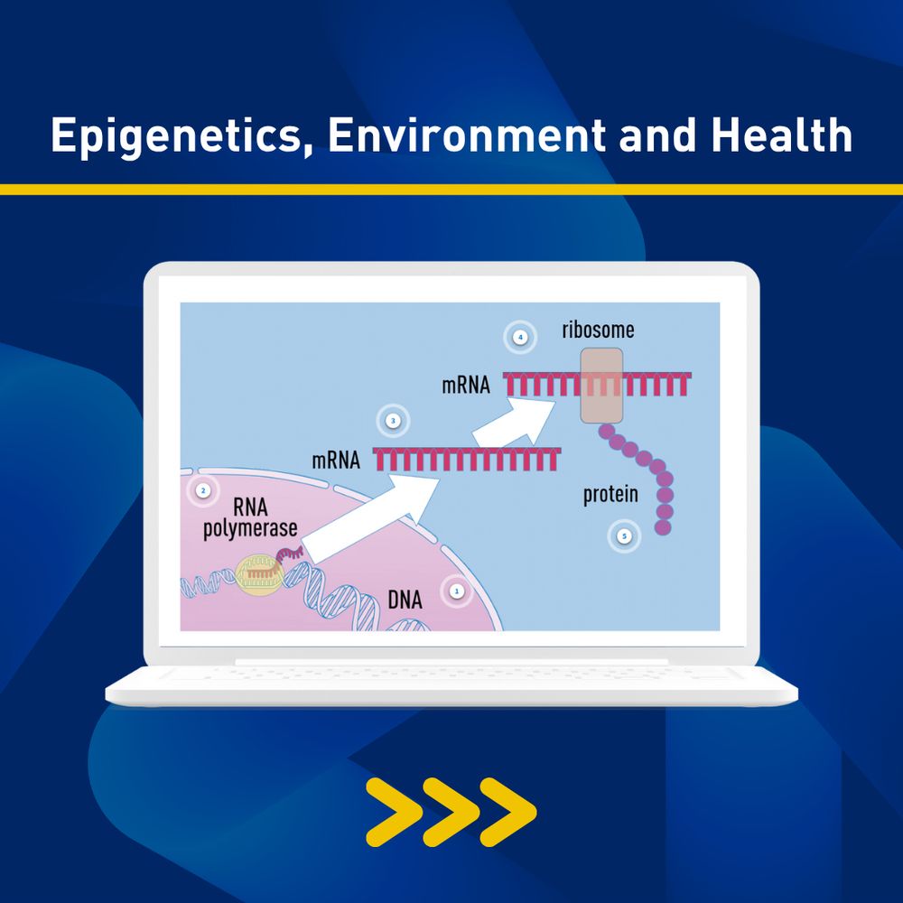 Blue graphic with white text that reads “Epigenetics, Environment and Health,” and an illustrated laptop showing a screenshot from the MiniCourse.