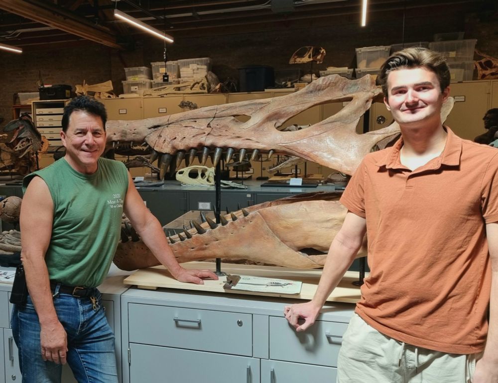Paul Sereno (left) and Ole Zant (right) in the Fossil Lab. With a Spinosaurus aegyptiacus skull in the back.