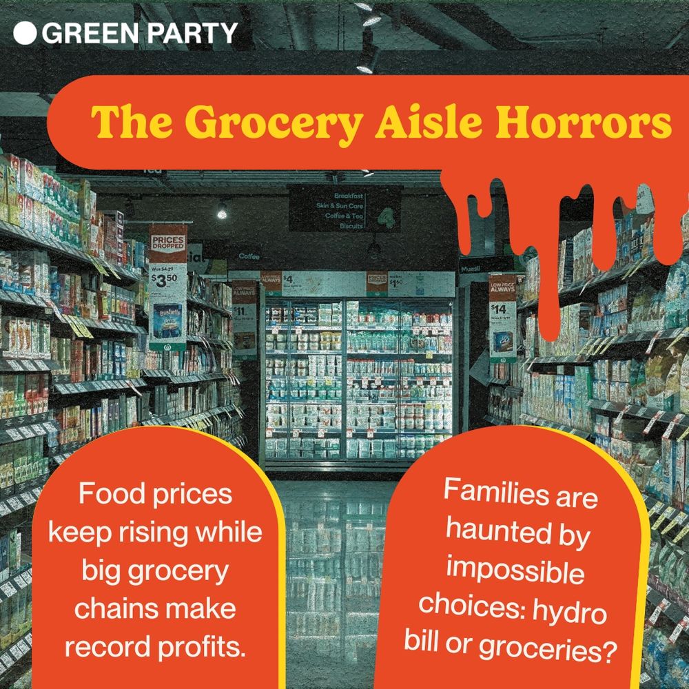 A grocery store aisle lined with shelves of products. The heading in dripping orange text reads “The Grocery Aisle Horrors.” Two orange text boxes below say, “Food prices keep rising while big grocery chains make record profits.” and “Families are haunted by impossible choices: hydro bill or groceries?” The Green Party logo is in the top corner.