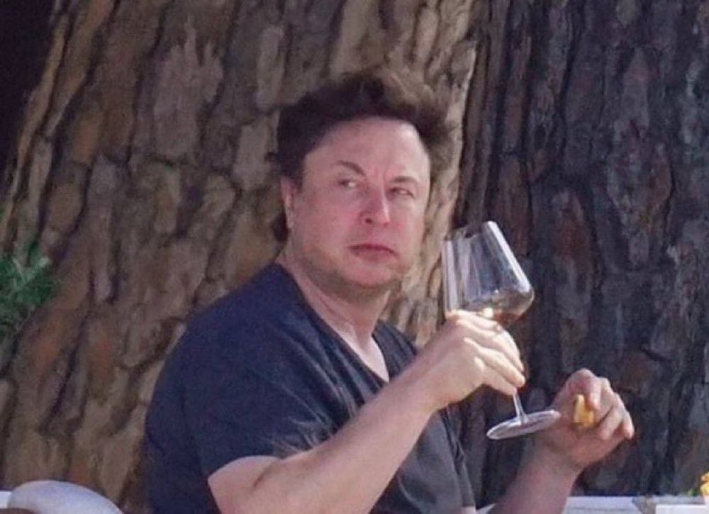 a slovenly Elon Musk holding a wine glass and a french fry looks up in annoyed surprise