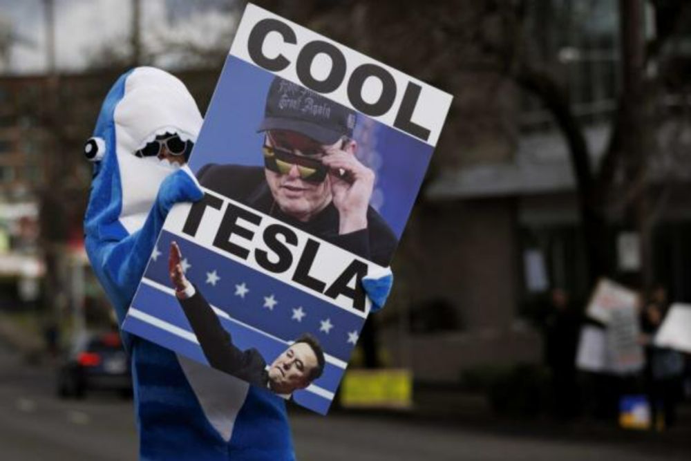 The Tesla Takedown