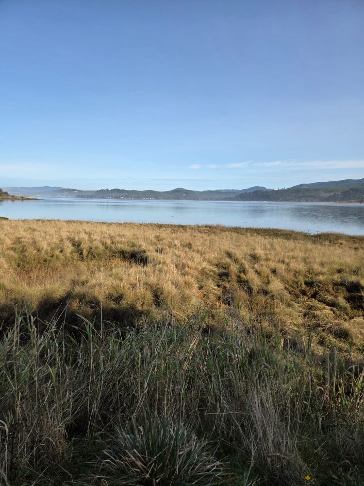 The Siletz Bay, with a lot of very still water due to the king tide 