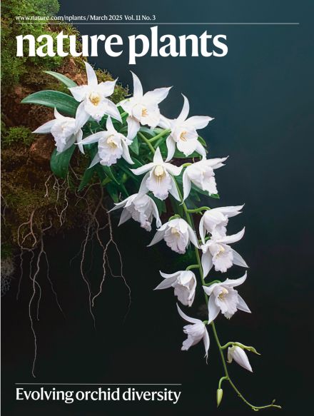 An orchid on the cover of the March issue of Nature Plants.