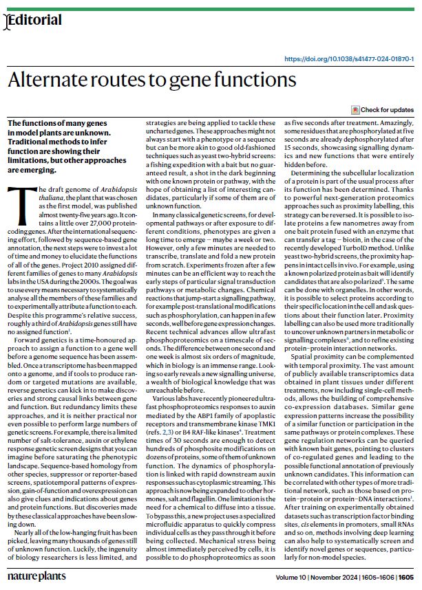 Screenshot of the editorial PDF.