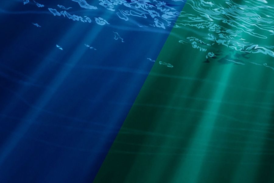 Some marine photoplankton can adapt to changing light, altering #ocean #ecosystems and, potentially, #carbon storage. (Source: NASA)