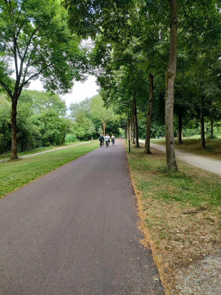Piste cyclable très large et arborée à Houten. Un groupe de cyclistes est en approche dans l'autre sens.
