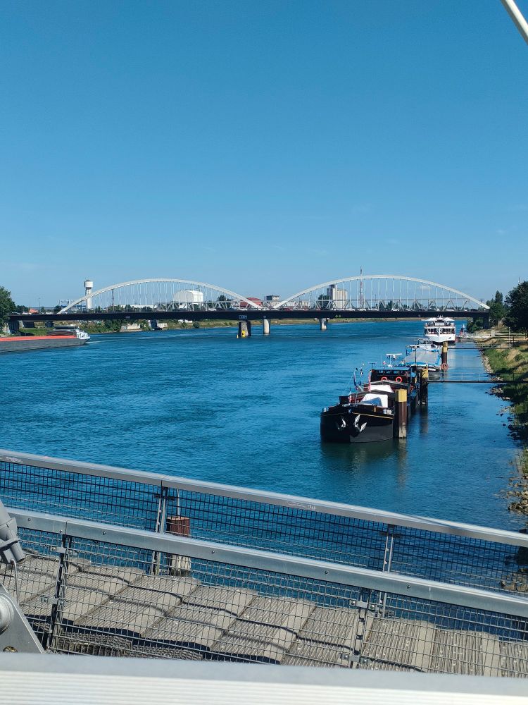 Photo du pont de l'Europe entre Strasbourg et Kehl prise depuis la passerelle des Deux Rives. Il y a un bouchon sur le pont routier en raison des contrôles à la frontière côté allemand.