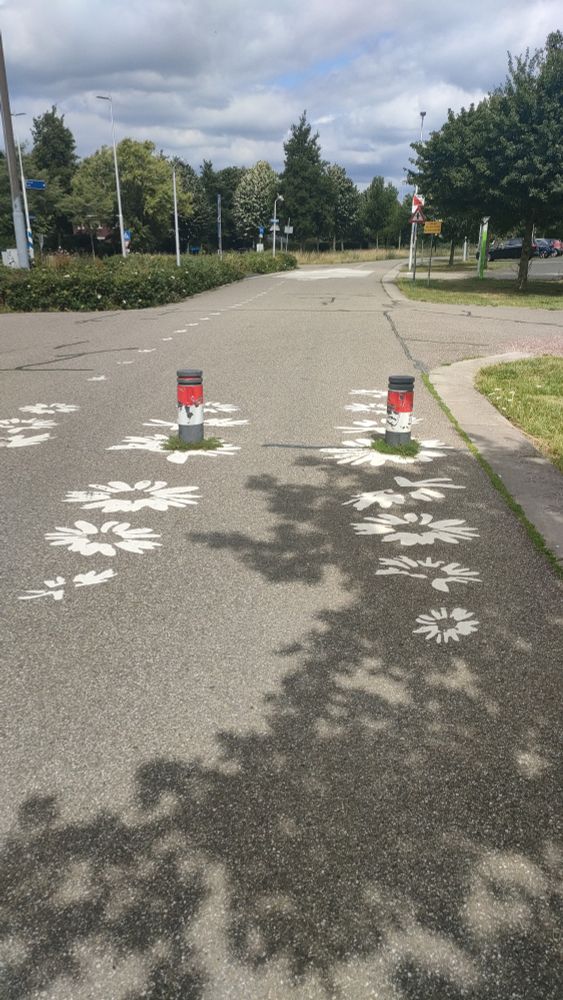 Piste cyclable traversant le parc de Maximapark à Utrecht. Des fleurs blanches sont peintes sur la chaussée pour avertir les cyclistes de la présence de potelets.