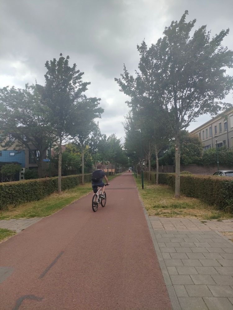 Rue cyclable à Houten entourée d'arbres. La chaussée est peinte en rouge ocre. In cycliste se balade au milieu.
