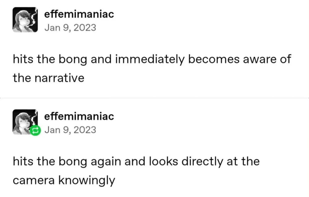 tumblr post from user ‘effemimaniac’ on jan 9, 2023 reading “hits the bong and immediately becomes aware of the narrative” followed by a reblog of the same user on the same day that reads “hits the bong again and looks directly at the camera knowingly”