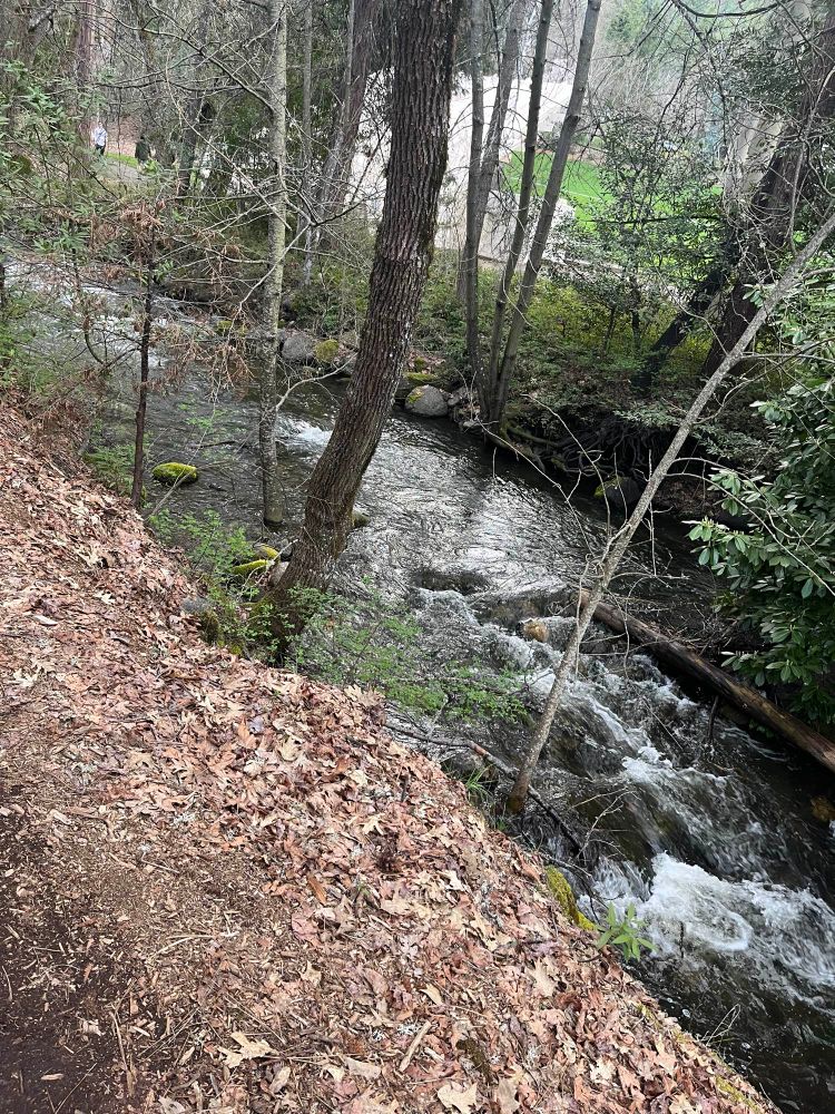 Another photo of Lithia Creek from further down the same path.