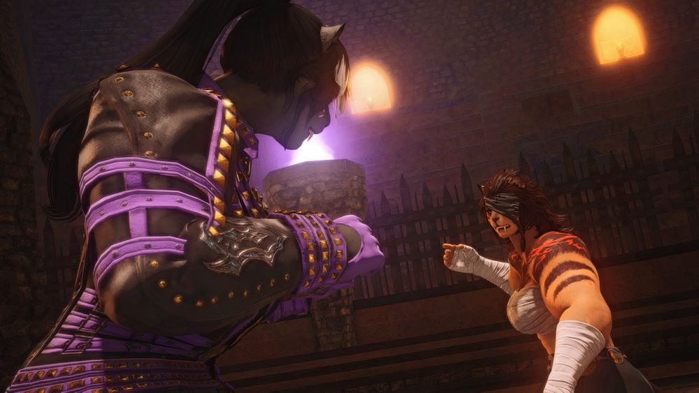 Lina (the Blazing Behemoth) and Akina (the Wandering Knuckle), at the Dragon's Neck in Ul'dah, ready for a brawl.

They will make out after this spar, probably