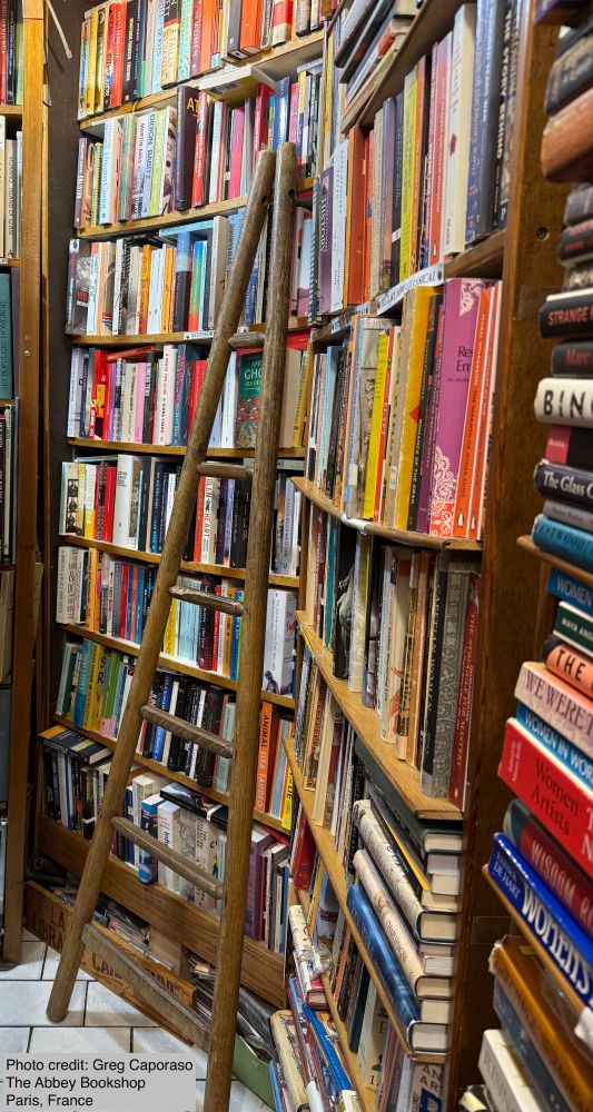 Image of crowded bookshelves.