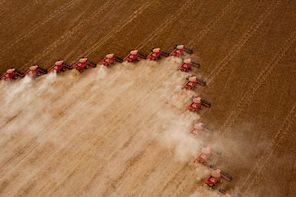 "O Agro não é pop": estudo aponta que a fome é resultado do agronegócio | Brasil de Fato