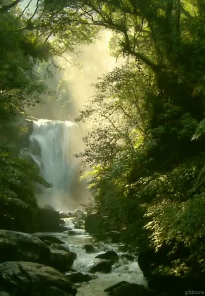 a waterfall is surrounded by trees and rocks in the woods