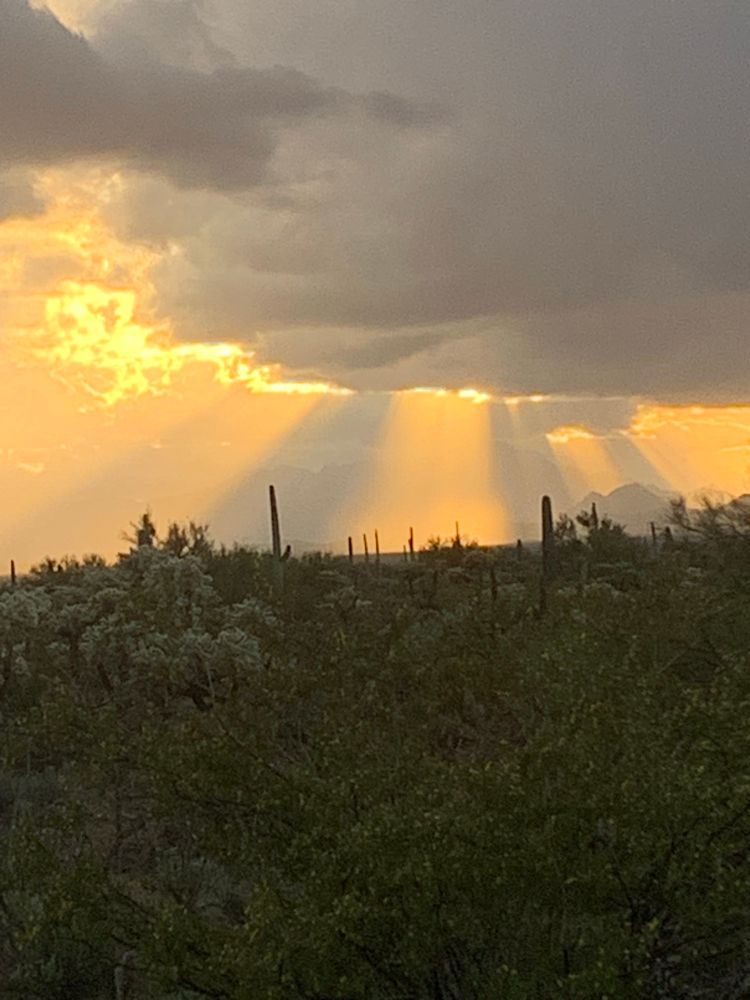 Rainy rays over the desert shroud Kitt Peak in the distance.