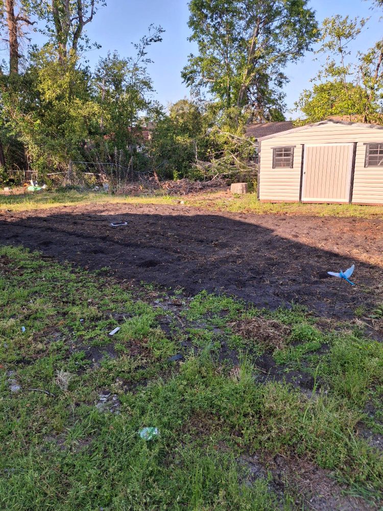 A picture of one sexy-ass backyard garden