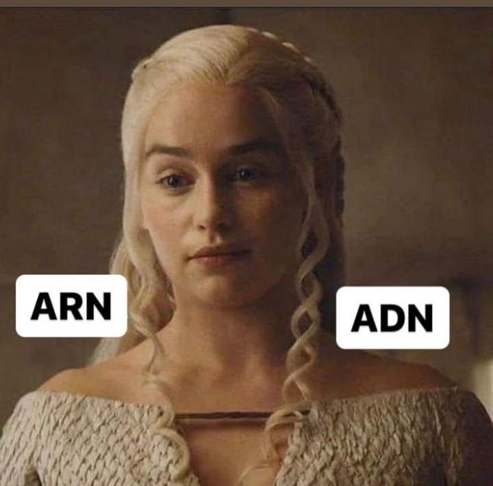 Daenerys Targaryen con el cabello hacia atrás, salvo un rizo doble a su izquierda junto a un cartel que dice "ADN" (biomolécula de doble cadena, formando lo que se conoce como "doble hélice", que es muy parecido a la disposición de esos dos rizos) y un rizo a su derecha al lado de un cartel en el que se lee "ARN" (formado por una única cadena).