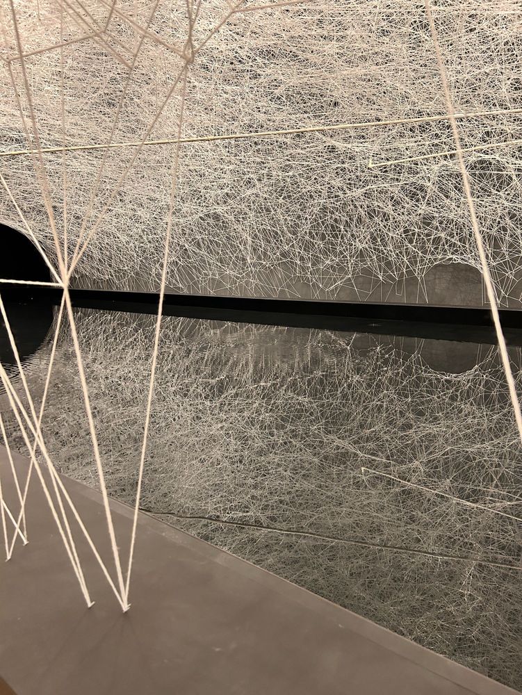 会場内に人口の池が設置されており天井や壁から蜘蛛の糸の様に白い糸が無数に水辺を覆うドームの用に張り巡らされている