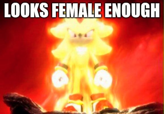 looks female enough golden shadow the hedgehog meme