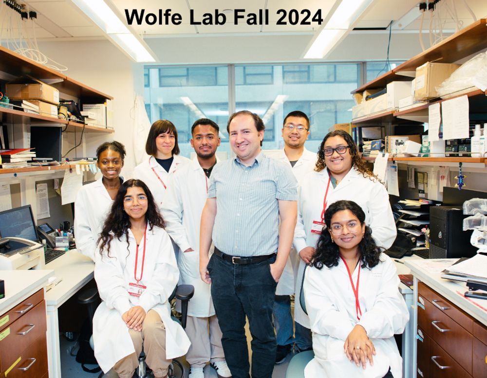 Members of the Wolfe lab in Fall 2024.