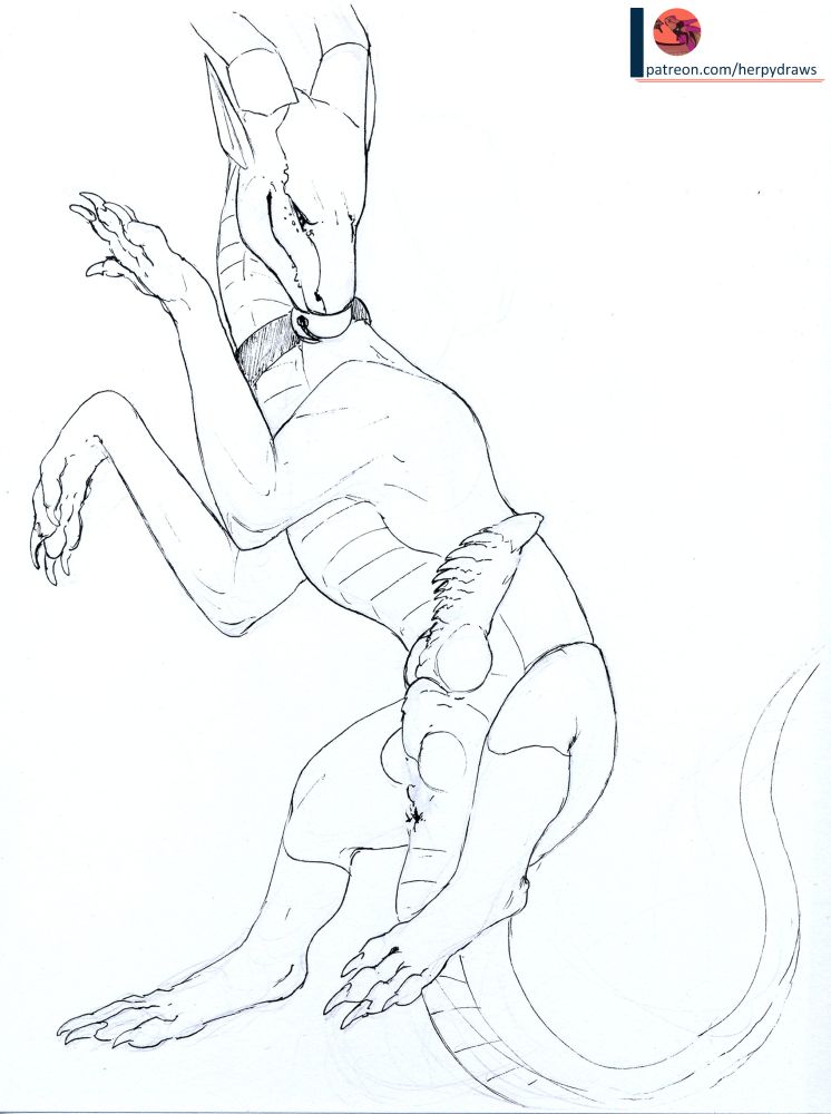 Feral dragon presenting