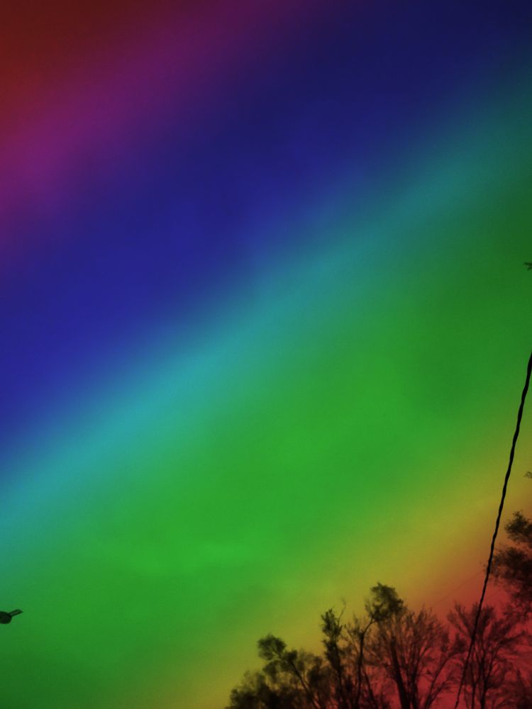 The overcast sky, now with a shitty photoshop gradient laid over it