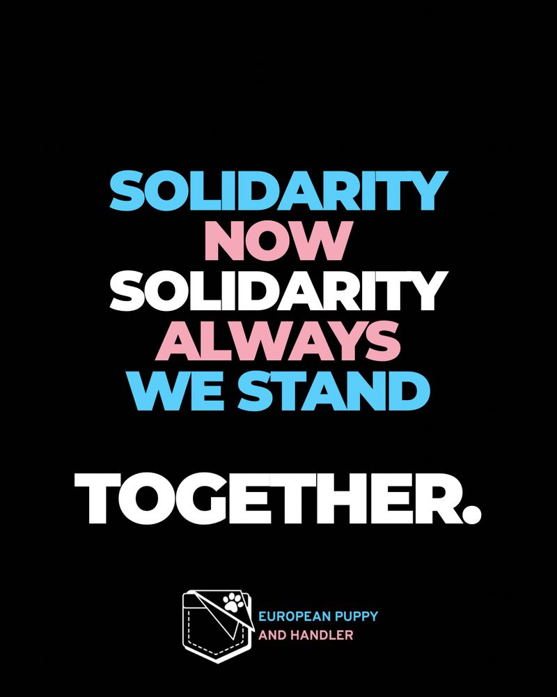 
Black background with bold block text using the trans pride flag colors:
 • Light blue: “SOLIDARITY”
 • Light pink: “NOW”
 • White: “SOLIDARITY”
 • Light pink: “ALWAYS”
 • Light blue: “WE STAND”
 • White: “TOGETHER.”
At the bottom is the stitched pocket logo in white with “EUROPEAN PUPPY” in light blue and “AND HANDLER” in light pink.