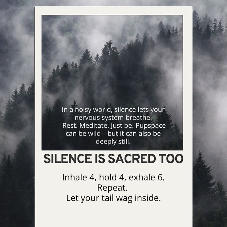 Section title: SILENCE IS SACRED TOO

Encourages stillness and mindfulness. Offers a 4-4-6 breathing technique: inhale for 4 seconds, hold for 4, exhale for 6. Reminds readers that even in playful pupspace, stillness and quiet are healing. Visuals are minimal and calm, highlighting serenity and the importance of letting the nervous system rest. Ends with “Let your tail wag inside,” a poetic affirmation of internal peace.

