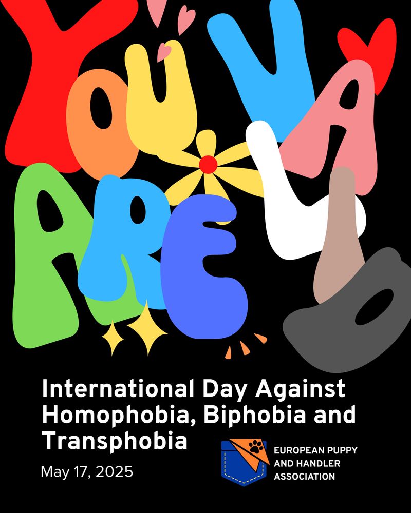 A colorful and playful design featuring large, bold letters that spell "YOU ARE VALID" in a mix of red, orange, yellow, green, blue, white, and pink. The background is black, and the composition includes small hearts, a yellow flower, and decorative sparkles. Below, in white text, it reads: "International Day Against Homophobia, Biphobia and Transphobia - May 17, 2025." The bottom right shows the logo of the European Puppy and Handler Association.

