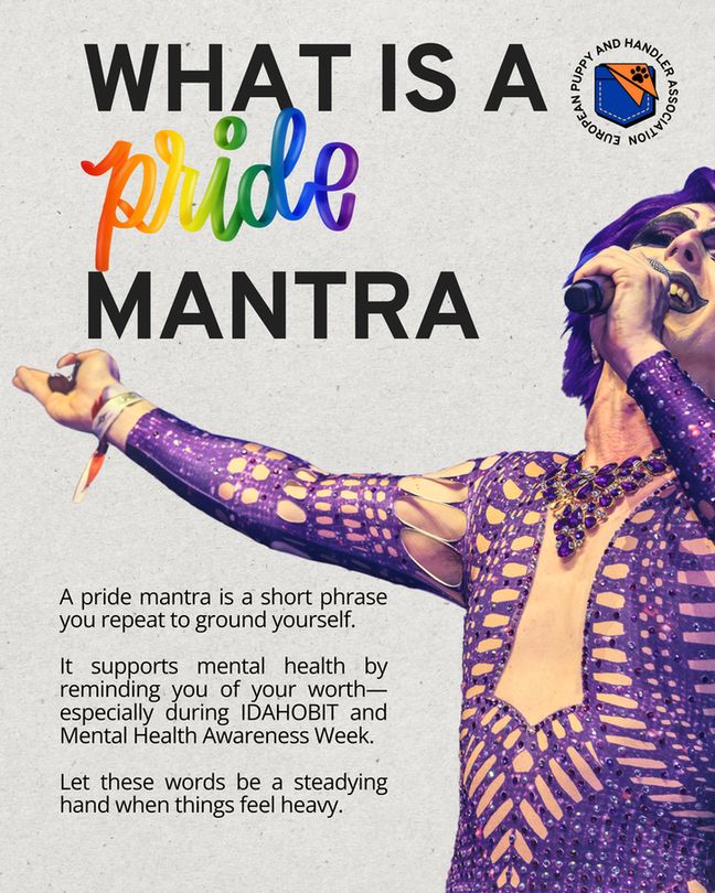 A bold poster titled "What is a Pride Mantra" features the word “pride” in rainbow colors. A drag performer in a purple cut-out bodysuit passionately sings into a microphone. The European Puppy and Handler Association logo is in the corner. Below, text explains that a pride mantra is a short phrase used to ground yourself and support mental health, especially during IDAHOBIT and Mental Health Awareness Week.
