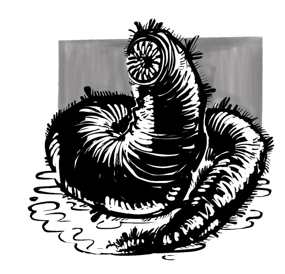 A giant, hairy leech.