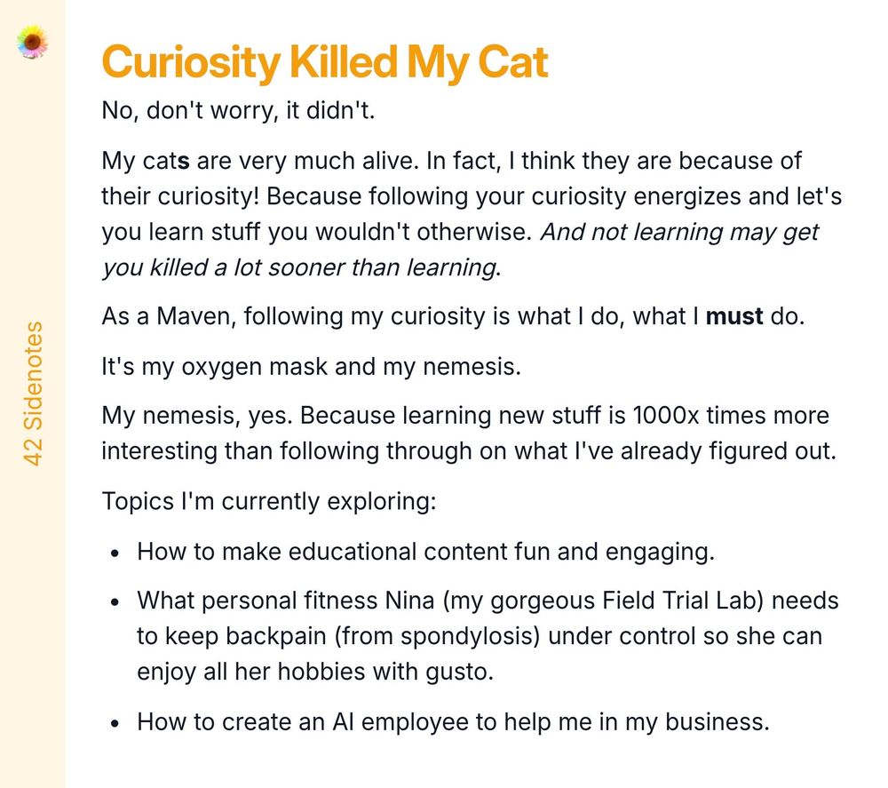 Screenshot essay titled 'Curiosity Killed My Cat' discusses the importance of curiosity in learning and personal growth. The author humorously reassures the reader that their cats are alive, attributing their well-being to their curiosity. They express that following curiosity energizes them and facilitates learning, contrasting it with the dangers of stagnation. The essay reflects on the author's identity as a Maven and their passion for exploring new subjects. It lists current topics of exploration, including making educational content engaging, understanding the fitness needs of their dog Nina, and creating an AI employee for business assistance. The overall tone combines humor and insightful reflection on the importance of continuous learning.