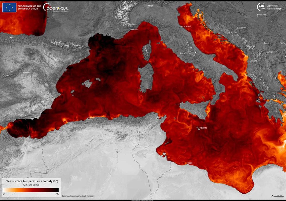 Cette carte montre le bassin méditerranéen. Les terres sont représentées en noir et blanc. Les données concernent uniquement les eaux. Allant du jaune au noir, en passant par des tons orangés et rouges, une échelle en bas à gauche nous montre les variations de température allant de 0 à supérieur +5°. Sur la carte, le golfe du Lion est le plus chaud ainsi que les abords du détroit de Gibraltar ainsi qu'autour des Baléares. 
